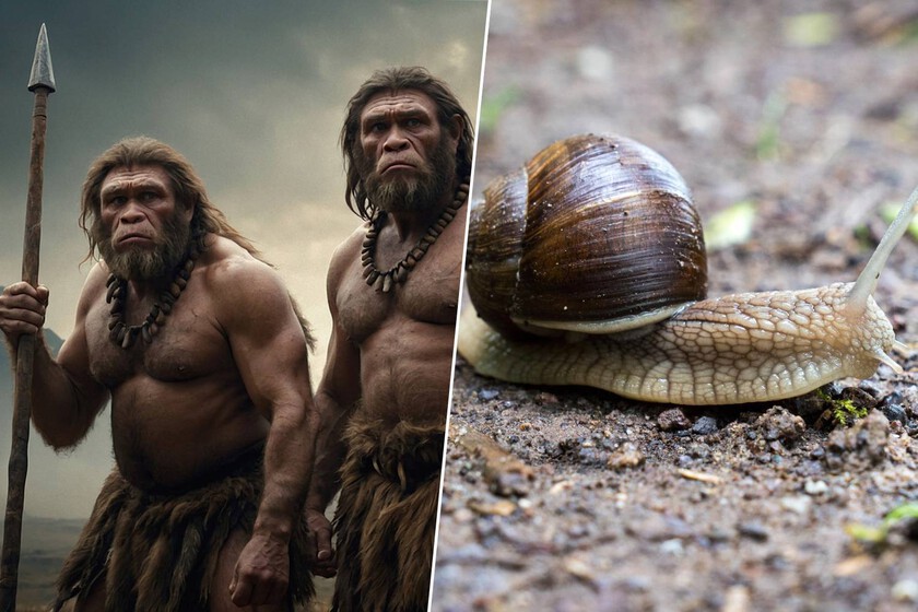 Neanderthals Practiced Seasonal Foraging 115,000 Years Ago, Challenging Cognitive Superiority Narratives