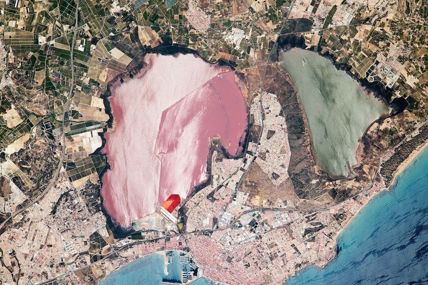 NASA Spots Pink Torrevieja Lagoons: A Martian Life Analogue