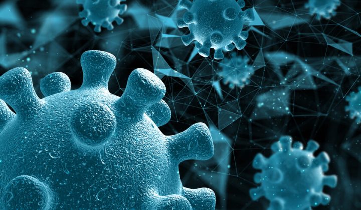 Thymus Gland’s Crucial Role in Longevity and Health Revealed