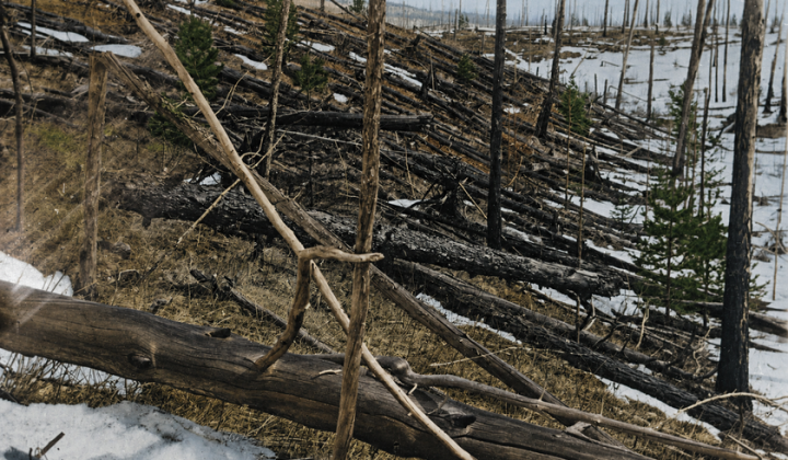 Tunguska Event: The 1908 Blast That Revealed Space’s Dangers