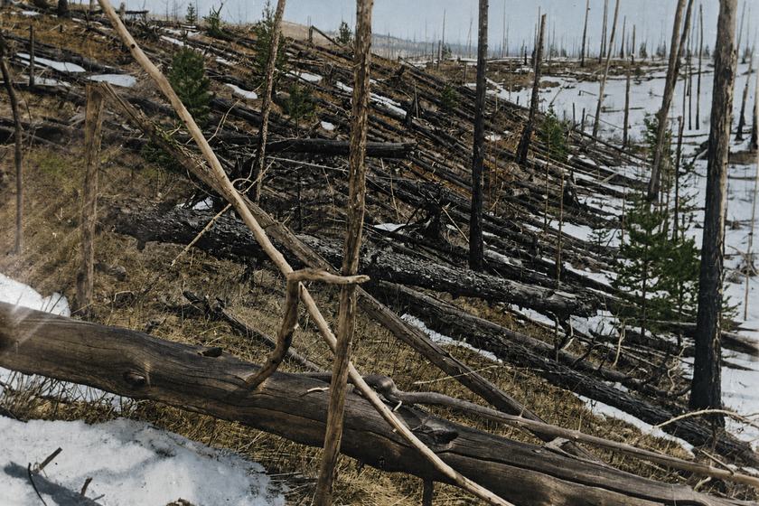 Tunguska Event: The 1908 Blast That Revealed Space’s Dangers