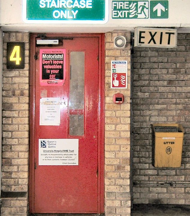 The Signal in the Noise: Navigating AI Information with Critical Appraisal