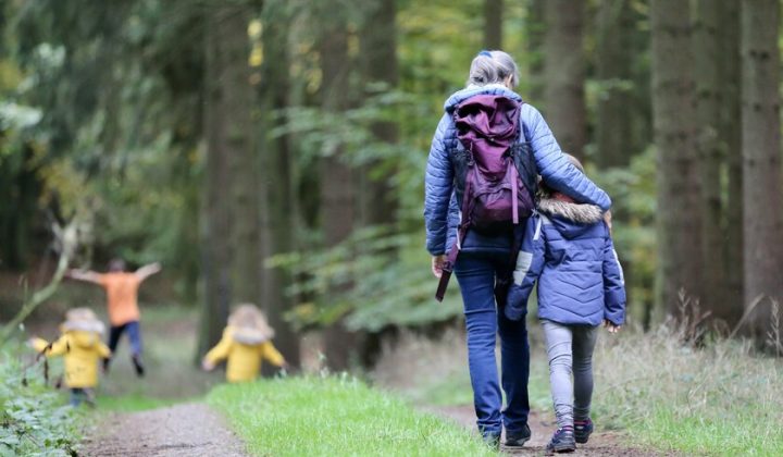 Grandfather’s Walk” Gains Traction: Experts Highlight Consistency Over Intensity for Health Benefits