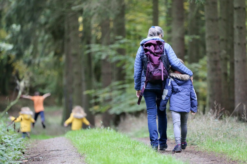 Grandfather’s Walk” Gains Traction: Experts Highlight Consistency Over Intensity for Health Benefits
