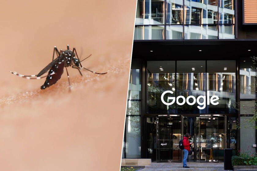 Google Subsidiary Seeks Approval to Release 64 Million Mosquitoes to Combat Disease