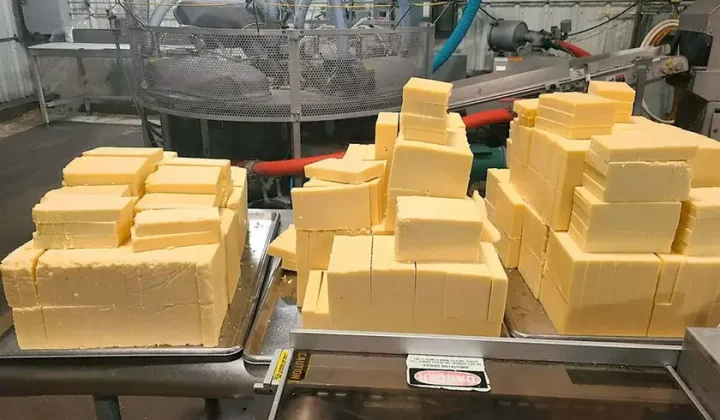 AI Agents Revitalize Century-Old California Creamery Facing Closure