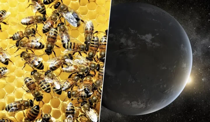 Swarm of Space Telescopes Proposed for 2040 Alien Life Hunt