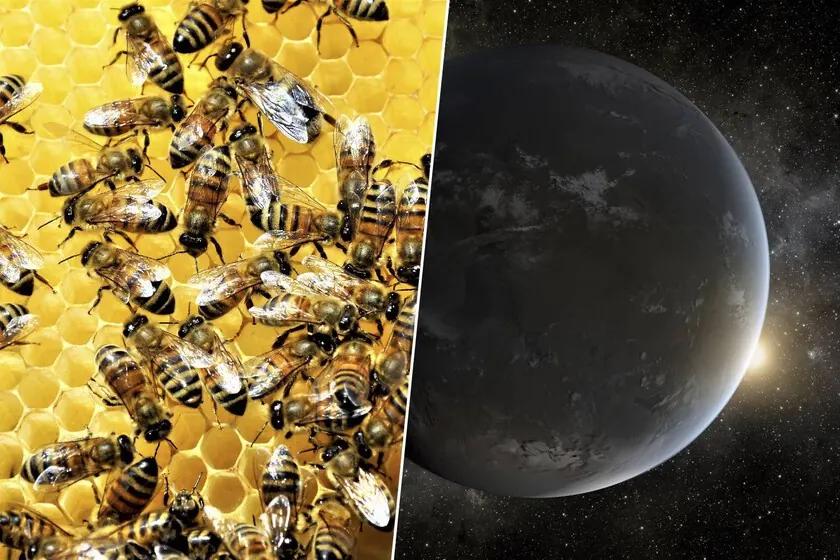 Swarm of Space Telescopes Proposed for 2040 Alien Life Hunt