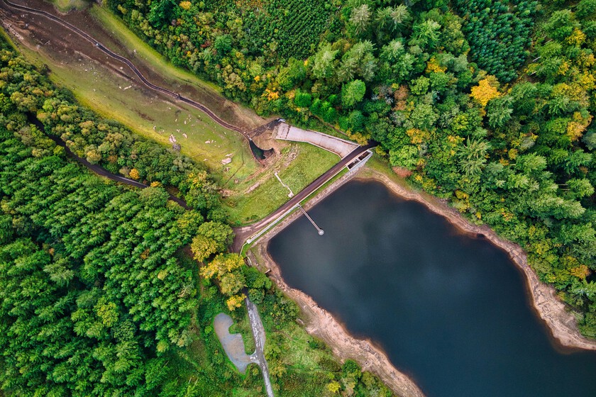 EU Rivers Reclaimed: Hundreds of Dams Removed for Ecological Restoration