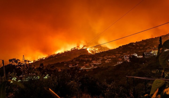 Prescribed Burns Show 92% Reduction in Extreme Wildfire Probability, Study Finds