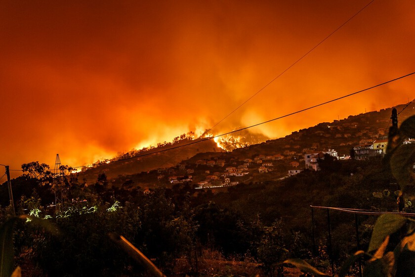Prescribed Burns Show 92% Reduction in Extreme Wildfire Probability, Study Finds