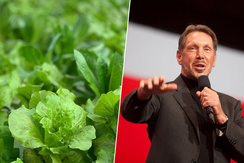 Larry Ellison’s $500 Million Bet on Hydroponic Farming on Lanai Island Faces Setbacks