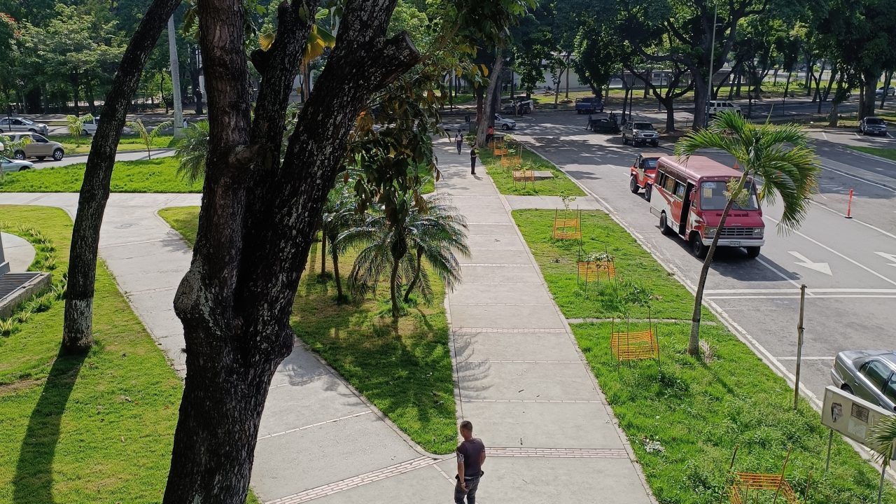 Revisión de Patria Digital: Funcionalidades y Consideraciones para Usuarios Venezolanos