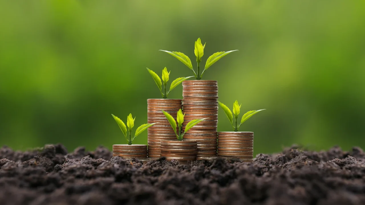 Dividend Growth Investing: SCHD vs. VYM – An Expert Analysis