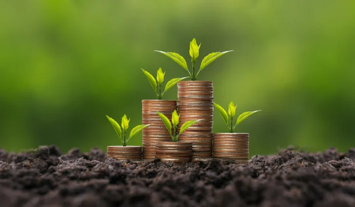 Dividend Growth Investing: SCHD vs. VYM – An Expert Analysis