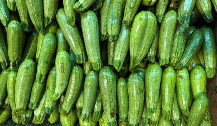 AI Tools Help Preserve Produce: New Methods for Extending Vegetable Shelf Life