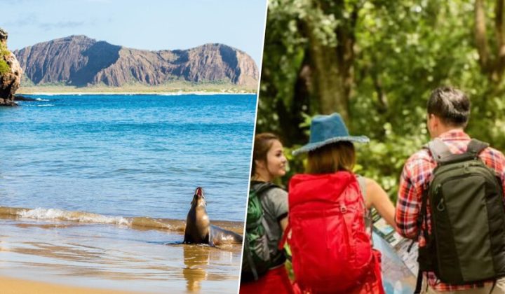 Airbnb’s Surge Threatens Galapagos’ Fragile Ecosystem Amidst Regulatory Gaps