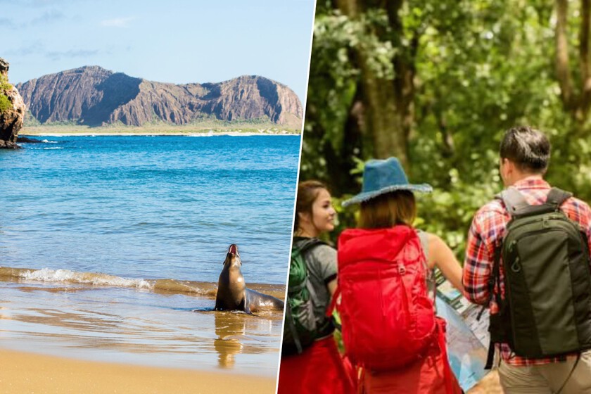 Airbnb’s Surge Threatens Galapagos’ Fragile Ecosystem Amidst Regulatory Gaps