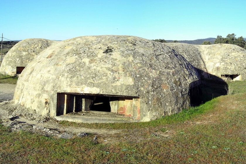 Spanish Municipal Workers Unearth Civil War Remnants During Fire Prevention Efforts