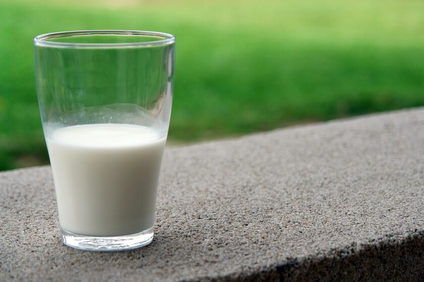 New Studies Challenge Long-Held Beliefs About Adult Milk Consumption