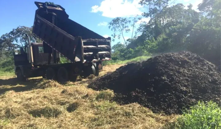 Coffee Pulp Restoration in Costa Rica Falls Outside ReviewArticle’s AI/Tools Beat – Editorial Reference Only