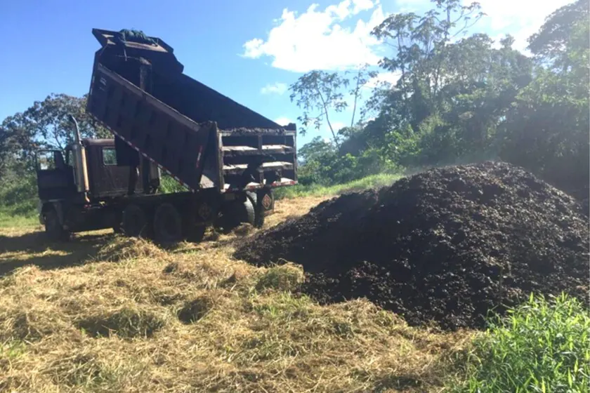 Coffee Pulp Restoration in Costa Rica Falls Outside ReviewArticle’s AI/Tools Beat – Editorial Reference Only