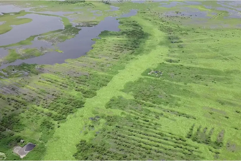 Satellite LiDAR Study Reveals Ancient Colombian Water Systems Were Built Without Centralized Leadership