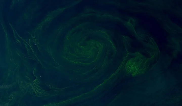 U.S.-Iran Stalemate in the Strait of Hormuz: A Slow Economic War, Not a Tech Conflict