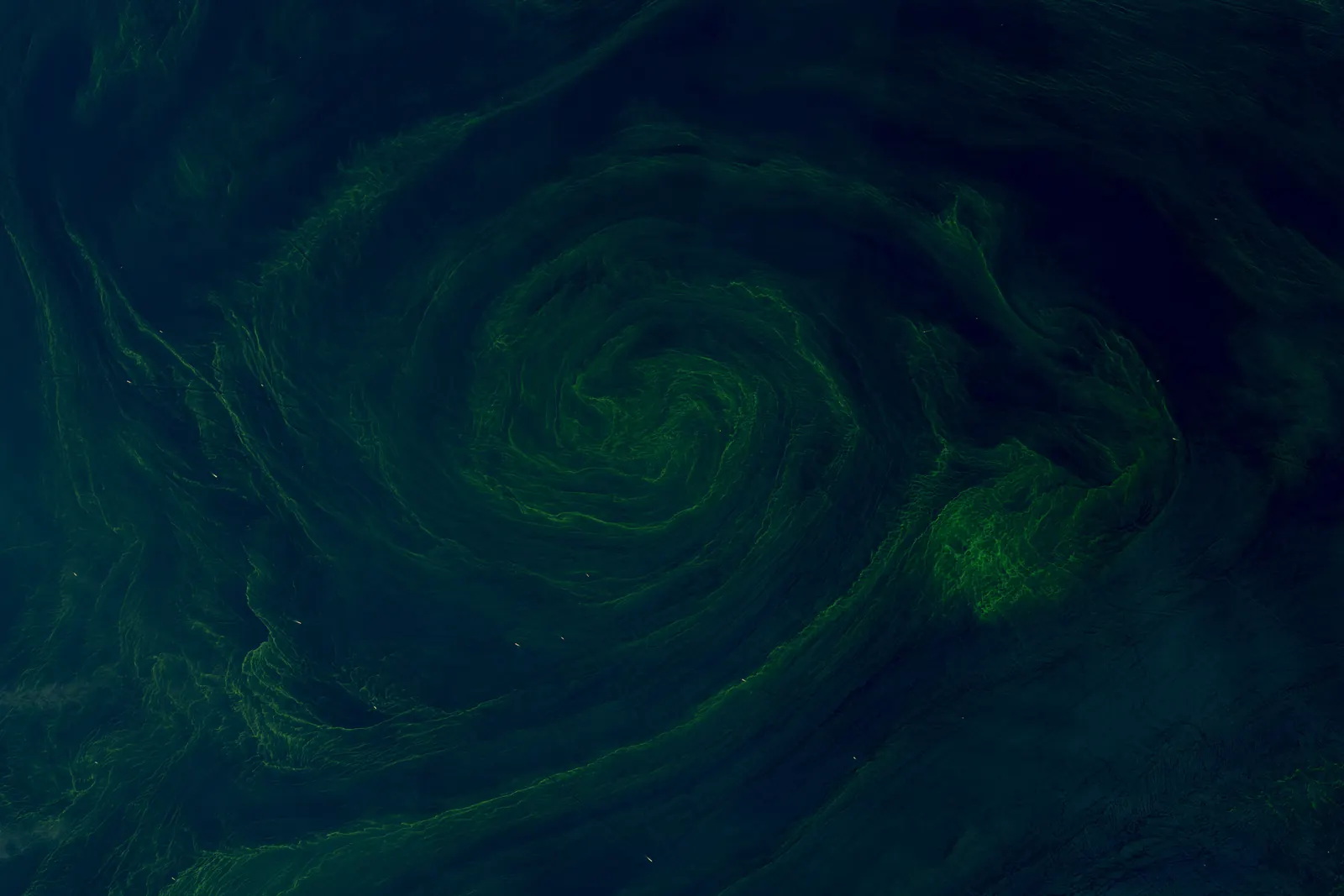 Satellite view of the Strait of Hormuz, a critical chokepoint for global oil and gas shipments.